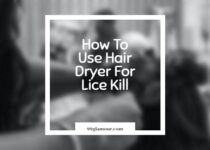 How To Use Hair Dryer For Lice Kill